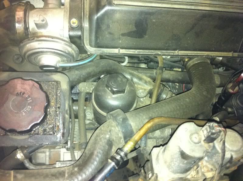 Servicing your E46 330d M57